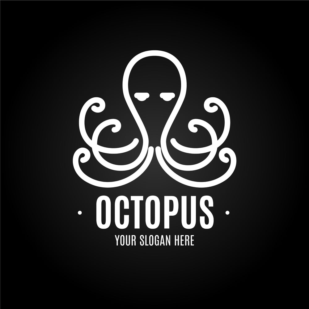 This is our octopus  blog post.