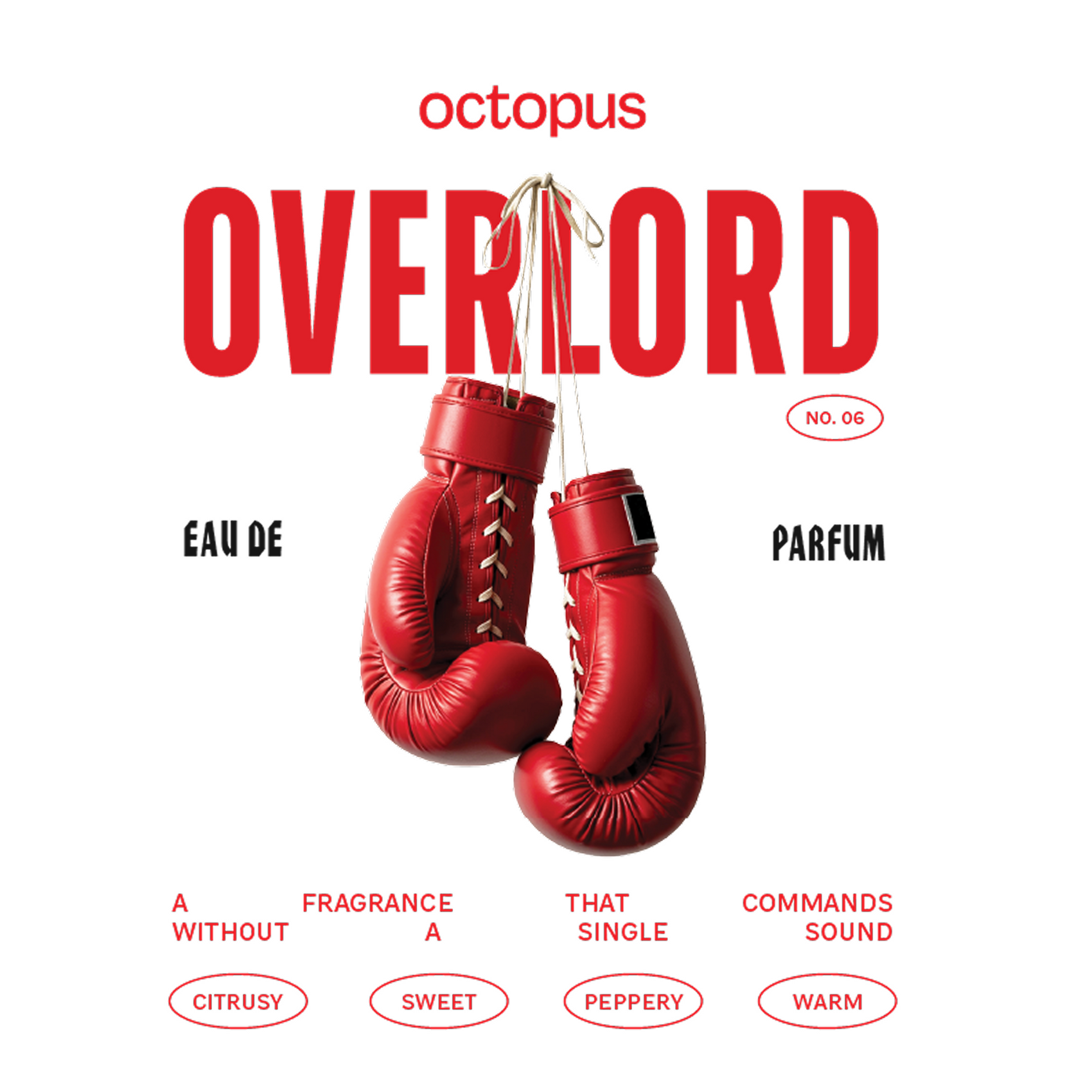 Overlord